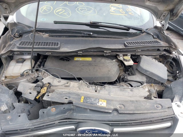 Ford ESCAPE SE 2014 1FMCU0GX7EUA24506 Image 10