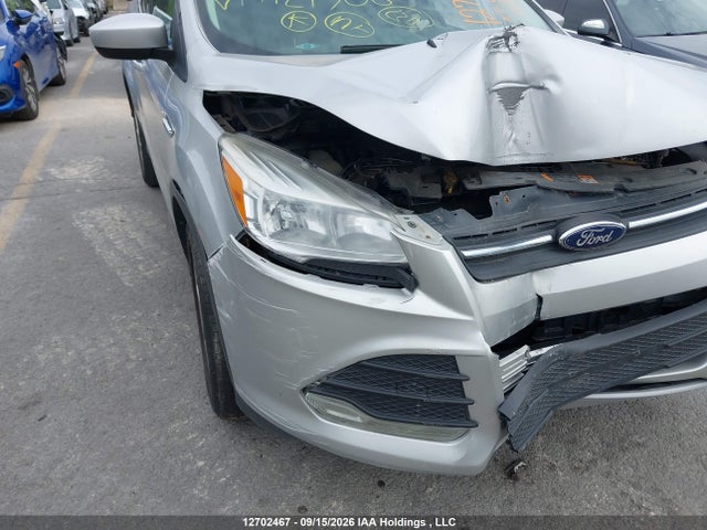 Ford ESCAPE SE 2014 1FMCU0GX7EUA24506 Image 6