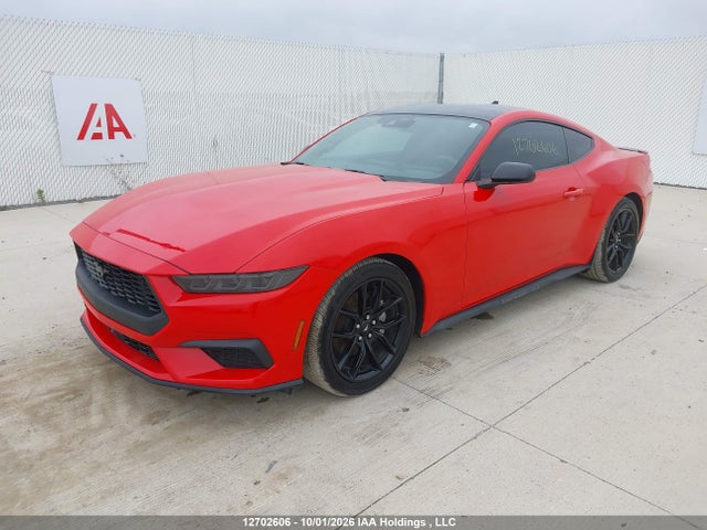 1FA6P8TH6T5112675 Ford Mustang