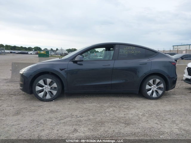 Aukcja sprzedaży 2024 Tesla Model Y Long Range, vin: 7SAYGDEE1RF041698, numer aukcji: 12702700