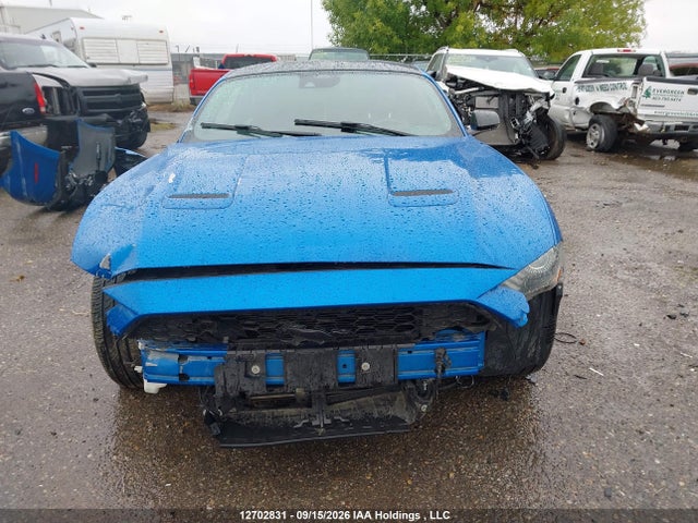 Ford Mustang 2021 1FA6P8TH9M5117399 Image 13