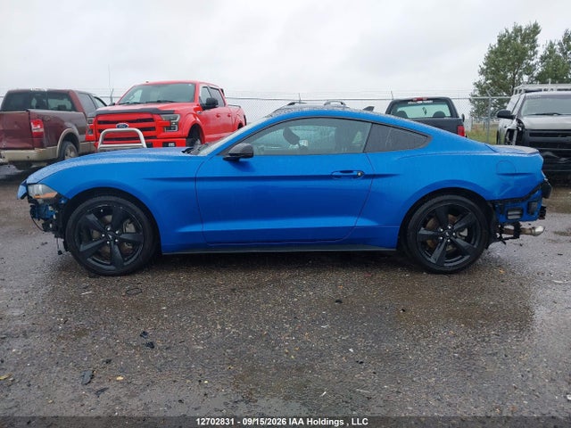 Ford Mustang 2021 1FA6P8TH9M5117399 Image 15