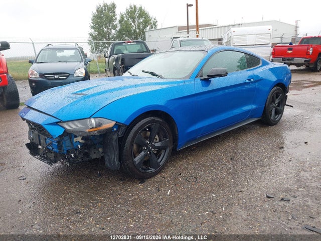 Ford Mustang 2021 1FA6P8TH9M5117399 Image 2