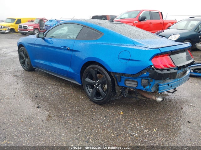 Ford Mustang 2021 1FA6P8TH9M5117399 Image 3