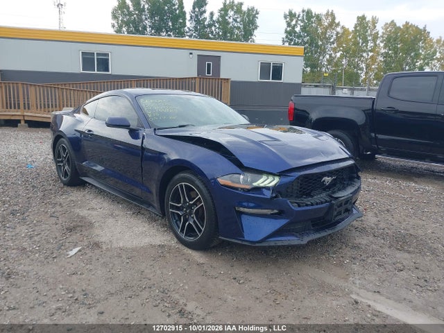 2019 Ford Mustang მანქანა იყიდება აუქციონზე, vin: 1FA6P8TH4K5144989, აუქციონის ნომერი: 12702915