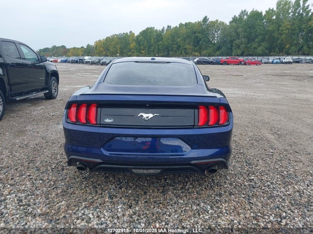 2019 Ford Mustang მანქანა იყიდება აუქციონზე, vin: 1FA6P8TH4K5144989, აუქციონის ნომერი: 12702915