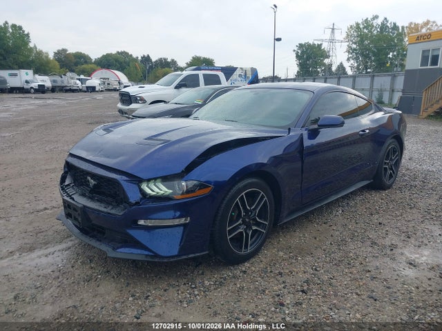 2019 Ford Mustang მანქანა იყიდება აუქციონზე, vin: 1FA6P8TH4K5144989, აუქციონის ნომერი: 12702915