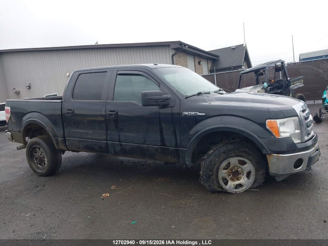 Ford F-150 Xlt 2014 1FTFW1EF3EKG16122 Image 13