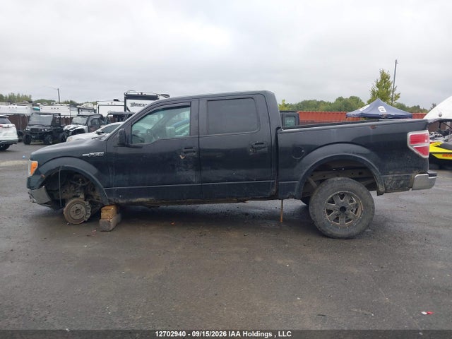 Ford F-150 Xlt 2014 1FTFW1EF3EKG16122 Image 14