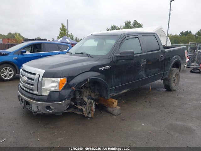 Ford F-150 Xlt 2014 1FTFW1EF3EKG16122 Image 2