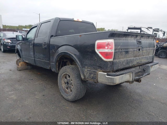 Ford F-150 Xlt 2014 1FTFW1EF3EKG16122 Image 3