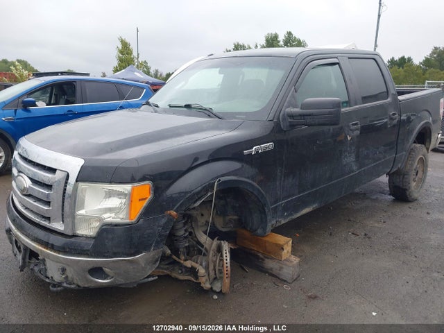 Ford F-150 Xlt 2014 1FTFW1EF3EKG16122 Image 6