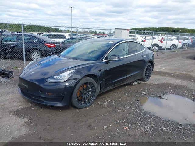 Продаж на аукціоні авто 2019 Tesla Model 3 Long Range/mid Range/standard Range/standard Range Plus, vin: 5YJ3E1EA4KF422590, номер лоту: 12702996