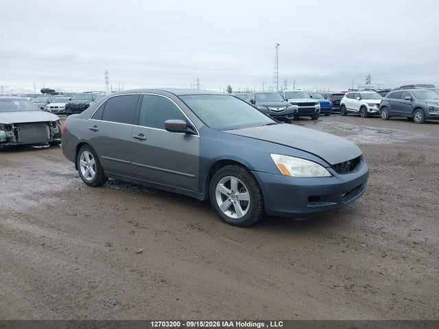 2006 Honda Accord Ex V6 მანქანა იყიდება აუქციონზე, vin: 1HGCM66566A802080, აუქციონის ნომერი: 12703200