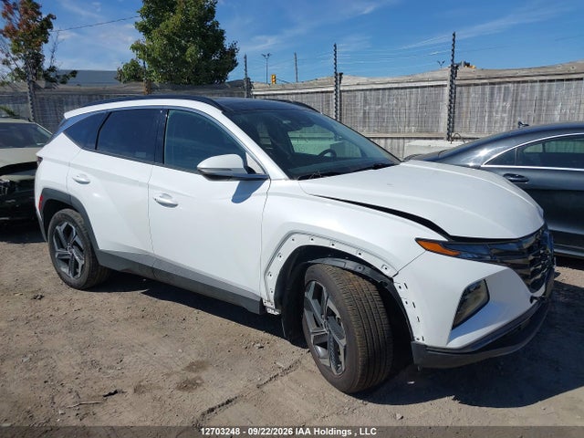 Hyundai TUCSON HYBRID 2024 KM8JCCD11RU195849 Image 13