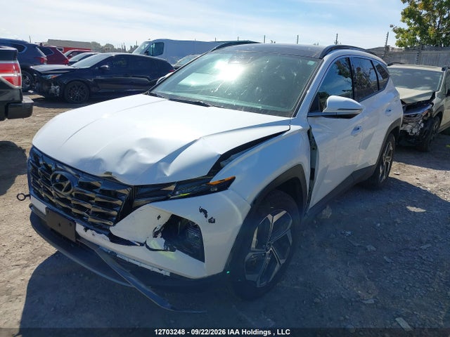 Hyundai TUCSON HYBRID 2024 KM8JCCD11RU195849 Image 2
