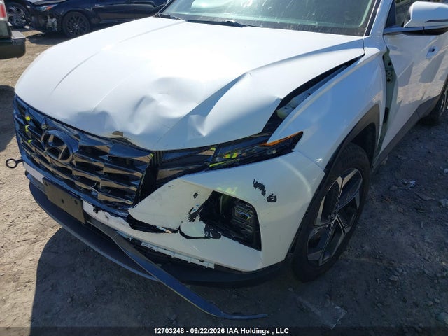 Hyundai TUCSON HYBRID 2024 KM8JCCD11RU195849 Image 6