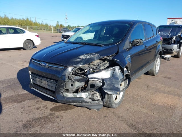 Ford ESCAPE SE 2015 1FMCU0GX8FUC08838 Image 6