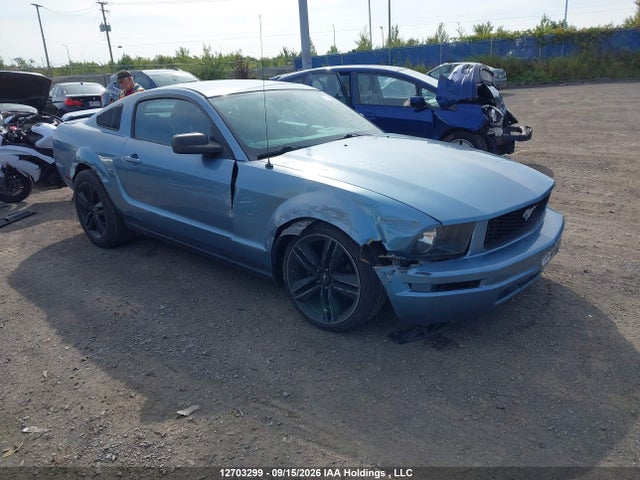 2005 Ford Mustang V6 მანქანა იყიდება აუქციონზე, vin: 1ZVFT80N255110986, აუქციონის ნომერი: 12703299