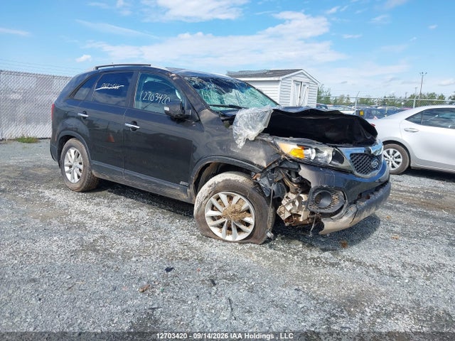 12703420 :رقم المزاد ، 5XYKTCA13BG114662 vin ، 2011 Kia Sorento Lx مزاد بيع