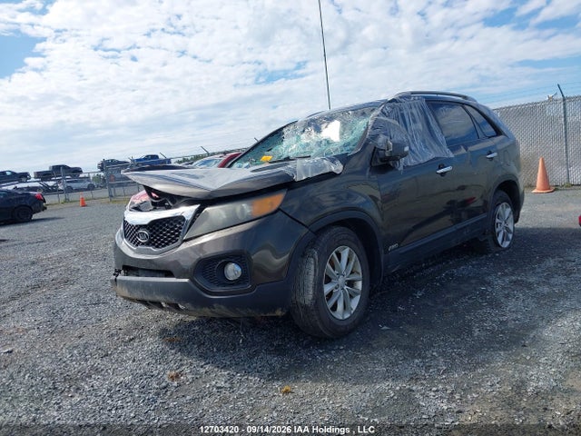 12703420 :رقم المزاد ، 5XYKTCA13BG114662 vin ، 2011 Kia Sorento Lx مزاد بيع