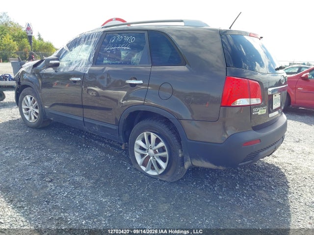 12703420 :رقم المزاد ، 5XYKTCA13BG114662 vin ، 2011 Kia Sorento Lx مزاد بيع