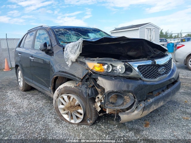 12703420 :رقم المزاد ، 5XYKTCA13BG114662 vin ، 2011 Kia Sorento Lx مزاد بيع