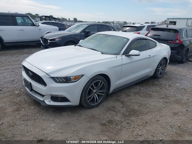 Ford Mustang 2016 1FA6P8TH7G5207039 Image 2