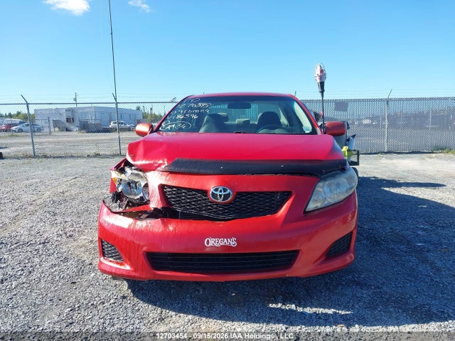 Продаж на аукціоні авто 2009 Toyota Corolla Ce, vin: 2T1BU40E99C186396, номер лоту: 12703454