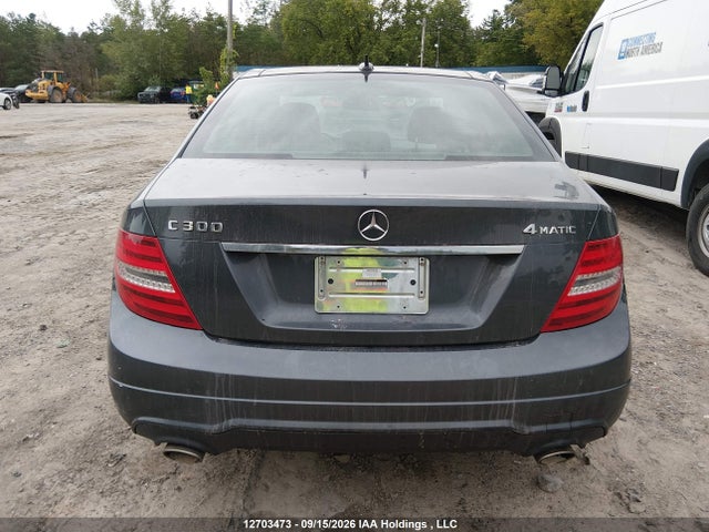 WDDGF8AB7EA967238 Mercedes-Benz C 300 4matic