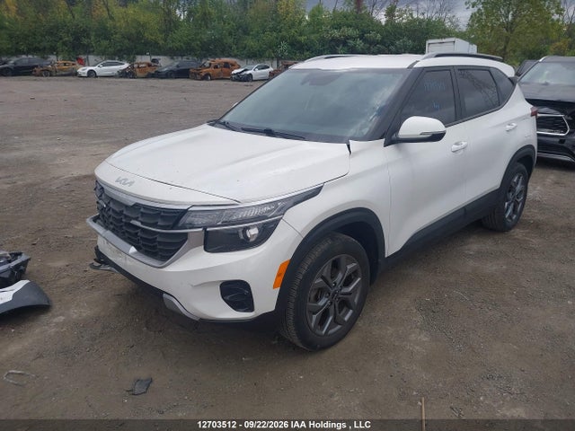 Продажа на аукционе авто 2025 Kia Seltos Lx, vin: KNDEP2AA9S7685971, номер лота: 12703512