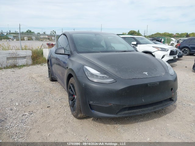 Aukcja sprzedaży 2021 Tesla Model Y Performance, vin: 5YJYGDEF0MF194989, numer aukcji: 12703590