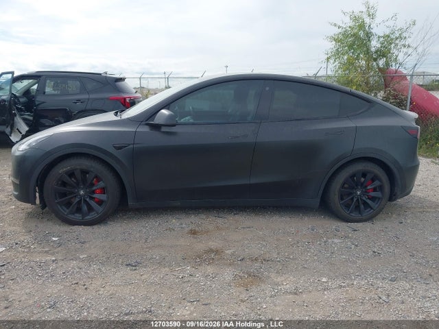 2021 Tesla Model Y Performance მანქანა იყიდება აუქციონზე, vin: 5YJYGDEF0MF194989, აუქციონის ნომერი: 12703590