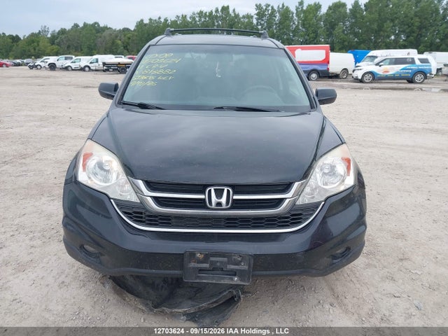 Aukcja sprzedaży 2011 Honda Cr-v Ex-l, vin: 5J6RE4H77BL813882, numer aukcji: 12703624