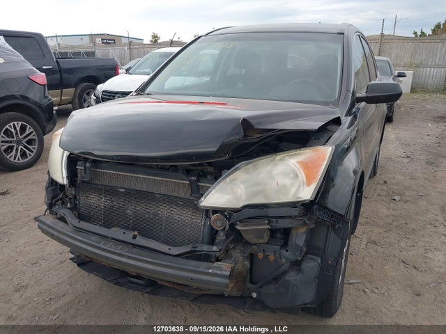 Продаж на аукціоні авто 2011 Honda Cr-v Lx, vin: 5J6RE3H39BL803524, номер лоту: 12703638