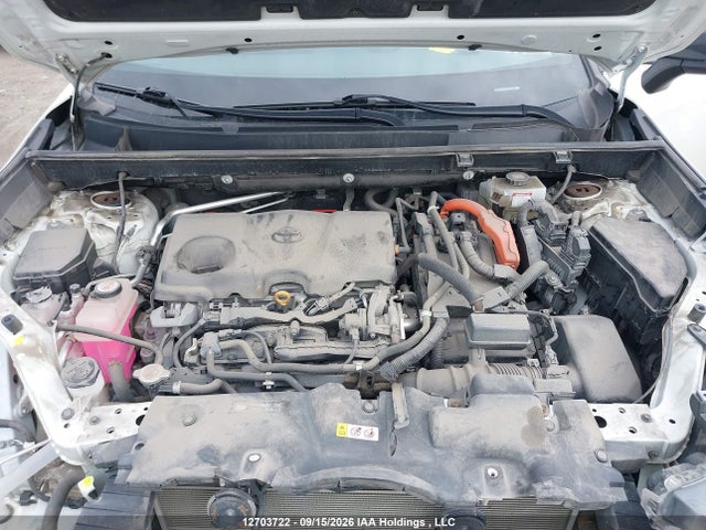 12703722 :رقم المزاد ، 2T3RWRFV5LW087312 vin ، 2020 Toyota Rav4 Hybrid Xle مزاد بيع