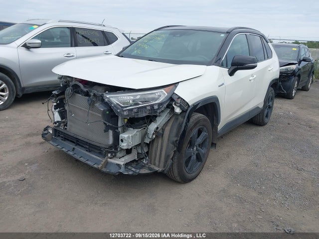 12703722 :رقم المزاد ، 2T3RWRFV5LW087312 vin ، 2020 Toyota Rav4 Hybrid Xle مزاد بيع