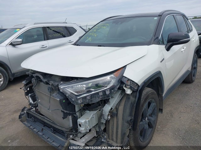 12703722 :رقم المزاد ، 2T3RWRFV5LW087312 vin ، 2020 Toyota Rav4 Hybrid Xle مزاد بيع