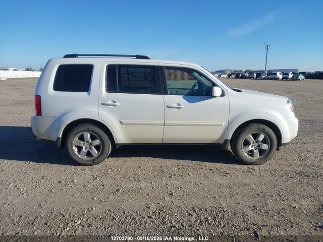 Продаж на аукціоні авто 2011 Honda Pilot Exl, vin: 5FNYF4H52BB501646, номер лоту: 12703790