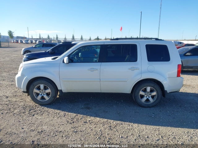 Продаж на аукціоні авто 2011 Honda Pilot Exl, vin: 5FNYF4H52BB501646, номер лоту: 12703790