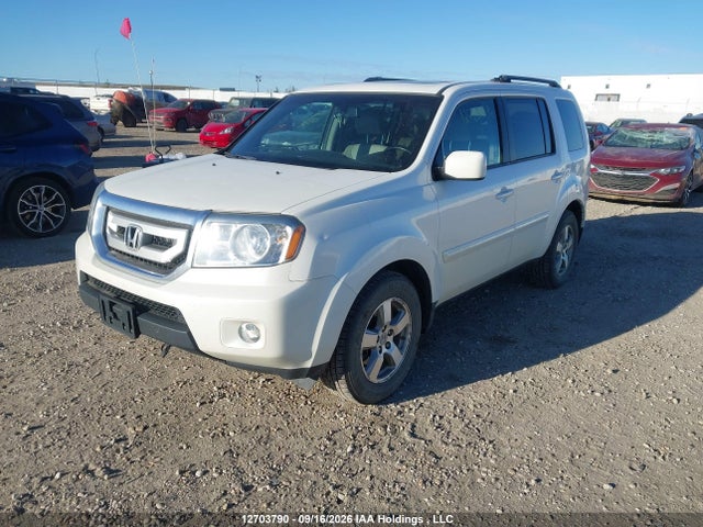 Продаж на аукціоні авто 2011 Honda Pilot Exl, vin: 5FNYF4H52BB501646, номер лоту: 12703790