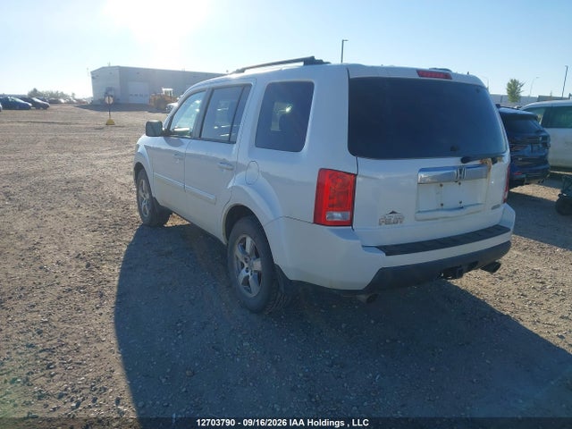Продаж на аукціоні авто 2011 Honda Pilot Exl, vin: 5FNYF4H52BB501646, номер лоту: 12703790
