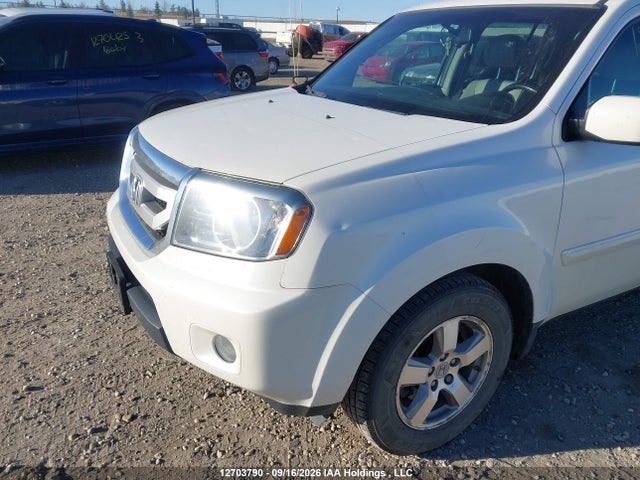 Продаж на аукціоні авто 2011 Honda Pilot Exl, vin: 5FNYF4H52BB501646, номер лоту: 12703790