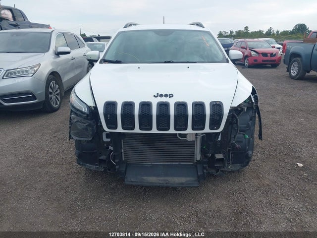 Jeep Cherokee Limited 2018 1C4PJLDBXJD595958 Image 6