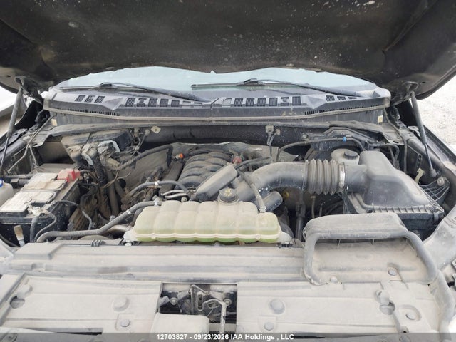Ford F150 Supercrew 2020 1FTFW1E55LKD20281 Image 10