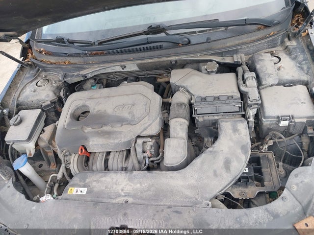 12703884 :رقم المزاد ، 5NPE34AF7GH384833 vin ، 2016 Hyundai Sonata Sport/limited مزاد بيع