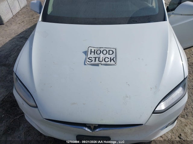Auction sale of the 2016 Tesla Model X 60d/70d/75d/90d, vin: 5YJXCAE29GF007613, lot number: 12703894