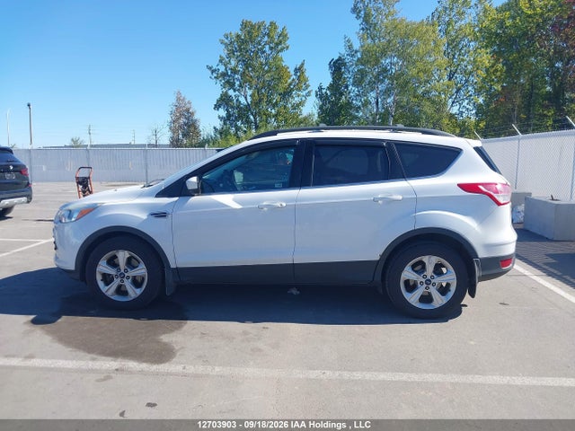Ford ESCAPE SE 2016 1FMCU9GX7GUA78704 Image 14