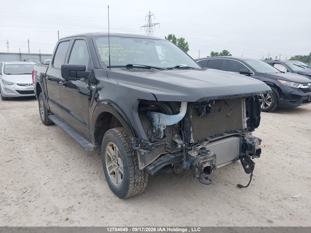 Продажа на аукционе авто 2023 Ford F150 Supercrew, vin: 1FTEW1EP1PFB56376, номер лота: 12704049