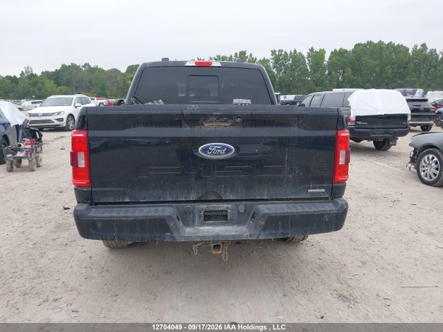 Продажа на аукционе авто 2023 Ford F150 Supercrew, vin: 1FTEW1EP1PFB56376, номер лота: 12704049